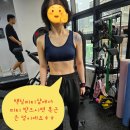 택짐피티샵 이미지