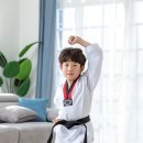 스타일 태권도장 이미지