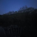 용인 송전지 좌대에서 민물 붕어낚시 마릿수 보다 싸이즈 대박!!!