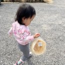 진천숯불고기 | 에코팜 주변 아기랑 갈만한 맛집