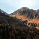 선비 코스 이미지