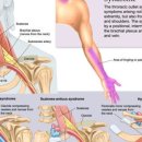진심한의원 이미지
