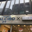 서초대로24길 25 | 세상귀여워 티롱프롱 캐릭터전시 후기