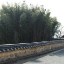 유림-1142 이미지