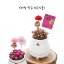 청림플라워