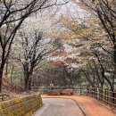 성주봉자연휴양림 이미지