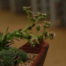 우혁농장 이미지