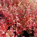 추평농장 이미지