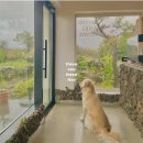 삼일삼오 이미지