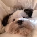 바른정약국 이미지