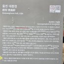 해파랑길(제24구간) Daum카페