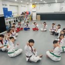 용인대석사 드림태권도장 이미지