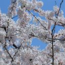 여행영어(야간) 이미지