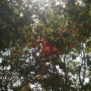 소현초등학교 이미지