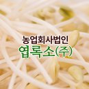 (주)희망일자리나눔 | 엽록소(주) 클로렐라 콩나물, 새싹삼으로 건강과 나눔을 키우는 당진시사회적기업