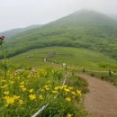 곰배령마루 이미지