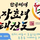 한국체대 효자효녀 태권도 이미지
