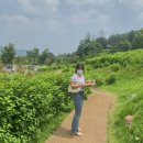 나팔바지 이미지