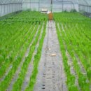 광일농장 이미지