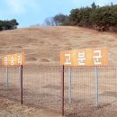 장승리 고분군 이미지