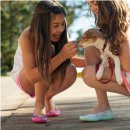 강아지꿈 이미지