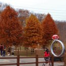 호수정감 이미지