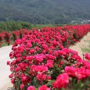 상동체육공원 이미지