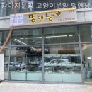 강아지분양 고양이분양 멍앤냥 수원점 이미지