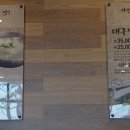 속시원해대구탕 이미지