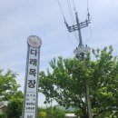 [청주 이색카페 추천] 다래목장 요거트카페 &amp; 체험농장 방문기