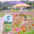 장성이벤트 이미지