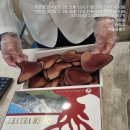 경희생생한의원 이미지