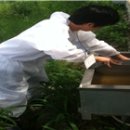 농고목장 이미지