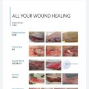 효림요양병원 이미지