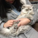 이엘 동물병원 이미지