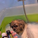 그루머로 이미지