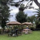 굿모닝 관광펜션 이미지