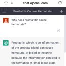 요즘 유명한 인공지능 chatgpt에 전립선염과 혈뇨에 대해서 물어봄 이미지