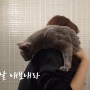 공감 이미지