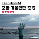 포항여행 코스 추천, 포항 가볼만한 곳 Best 5