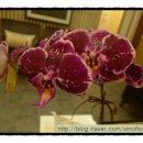 이화당한의원 이미지