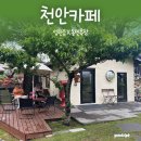 [천안카페] 배 꽃으로 유명한 성환대형카페 ‘동민목장’