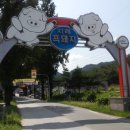 지례흑돼지