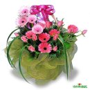 당진초교 이미지