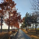 씨사이드 | [영종도 가볼 만한 곳] 데이트와 산책하기 좋은 영종도 씨사이드파크 후기!(Feat. 주차장)