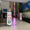 천안시청 | 천안 시청 여권 갱신 후기