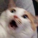 지구레코드 | 성수 팝업 | 밑미 전시 <오프더레코드> 무료 전시 후기 예약 링크