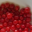 해변에서 펜션 이미지