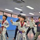 용인대단재태권도 이미지