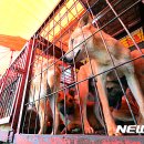 황구건강원 이미지